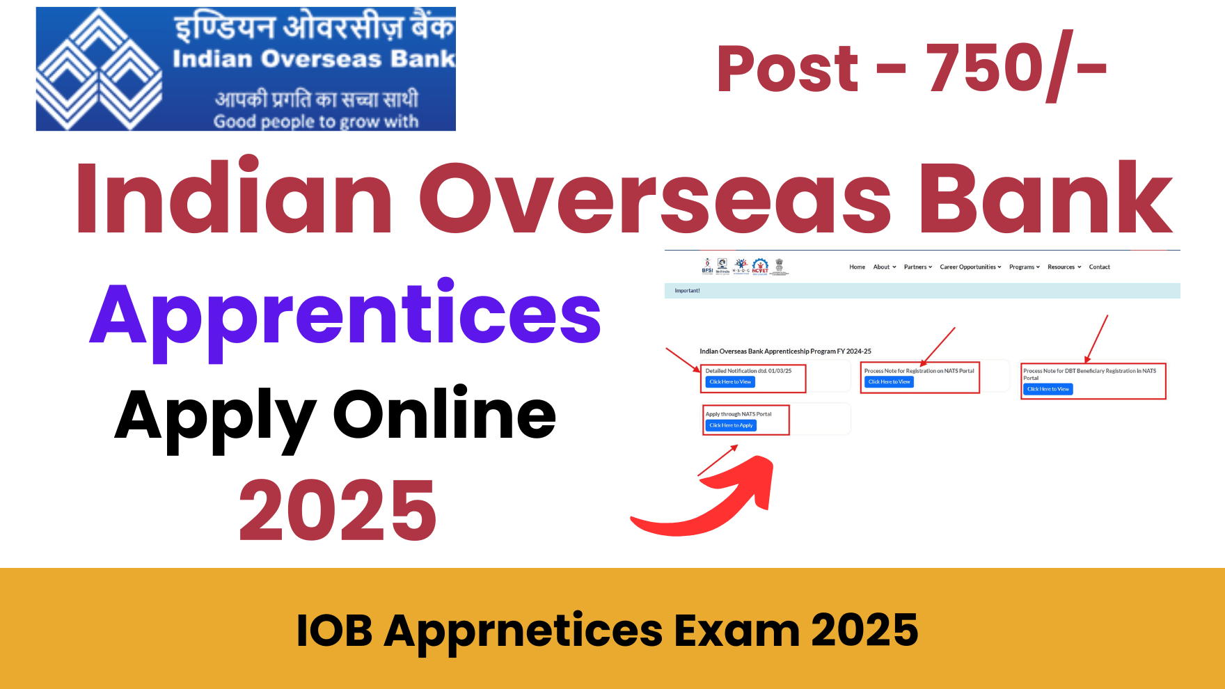 Indian Overseas Bank IOB Apprentices Online Form 2025